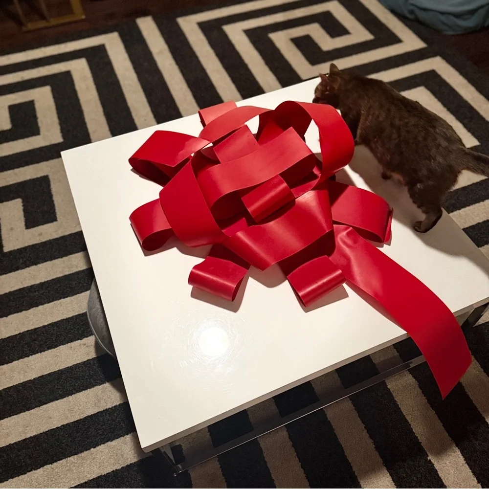 Elegant Red Ribbon Gift Box - Picture 13 of 16
